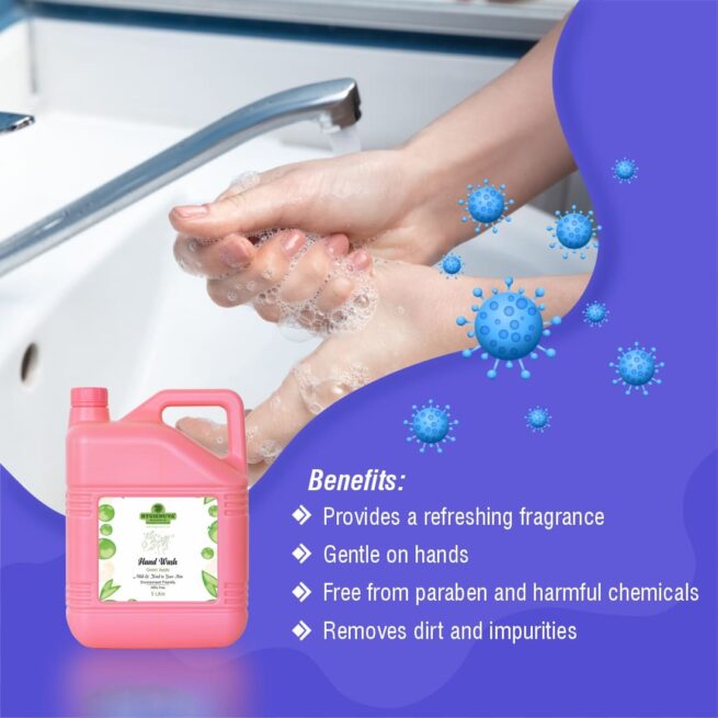 Regular Hand Wash